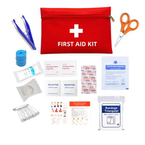 Kit di pronto soccorso della casa portatile